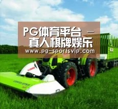关于PG电子