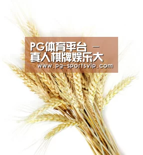 PG体育平台 - 真人棋牌娱乐大厅