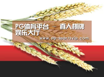 PG体育平台 - 真人棋牌娱乐大厅