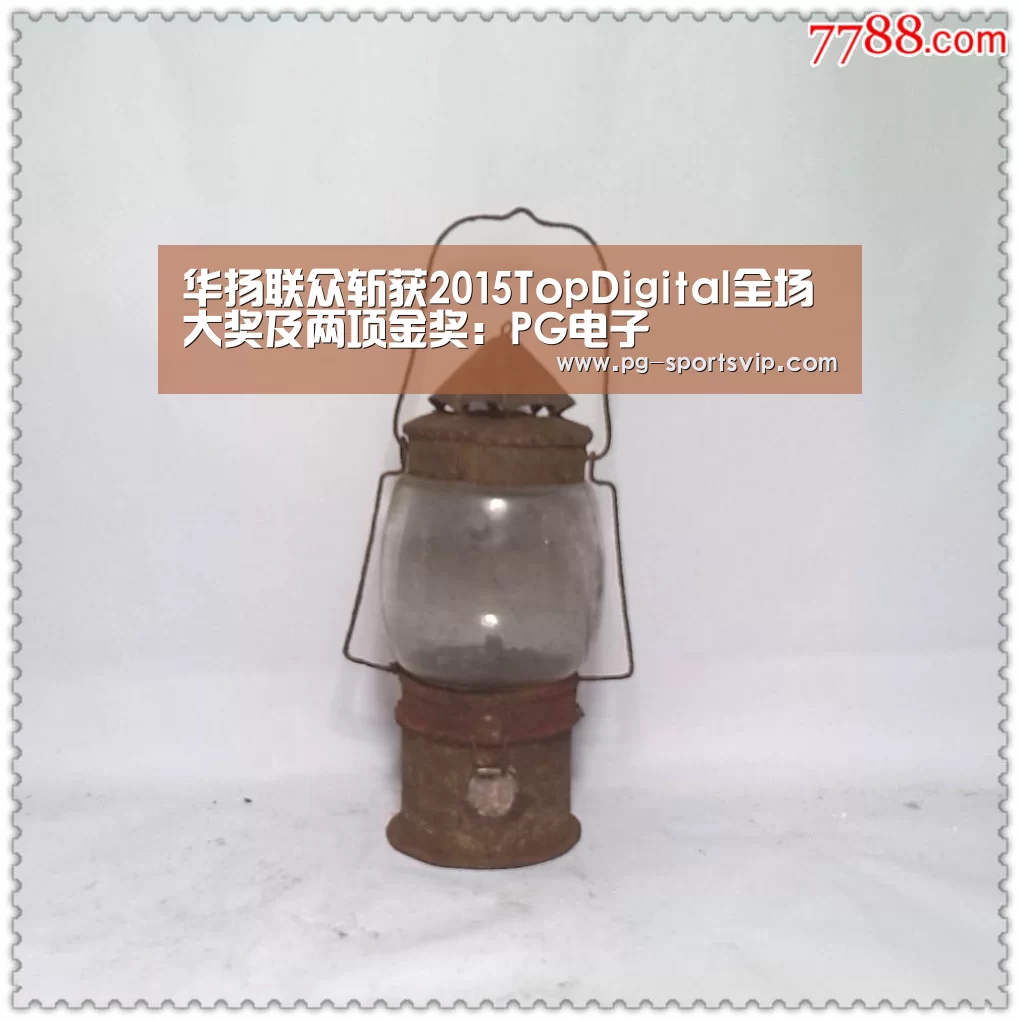 华扬联众斩获2015TopDigital全场大奖及两项金奖:PG电子(图1) PG虎机