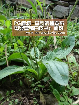 PG麻将-众引传播发布母婴营销白皮书:面对年轻妈妈,母婴品牌该如何精准的“走心”(图3) PG麻将