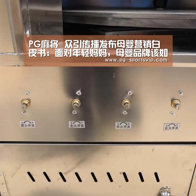 PG麻将-众引传播发布母婴营销白皮书:面对年轻妈妈,母婴品牌该如何精准的“走心”(图2) PG麻将