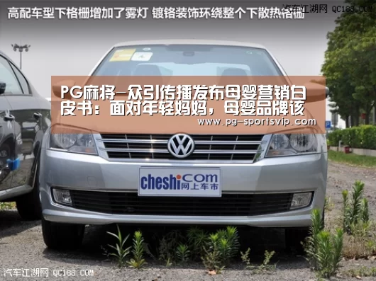 PG麻将-众引传播发布母婴营销白皮书:面对年轻妈妈,母婴品牌该如何精准的“走心”(图1) PG虎机