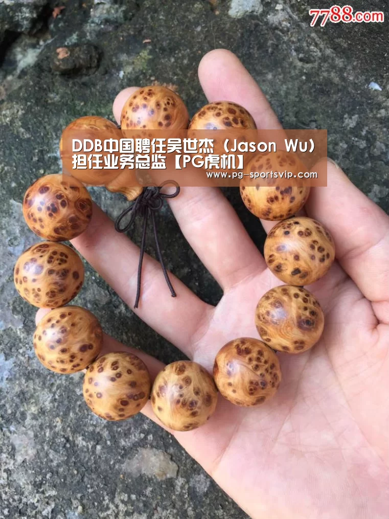 DDB中国聘任吴世杰(Jason Wu)担任业务总监【PG虎机】(图3) PG虎机